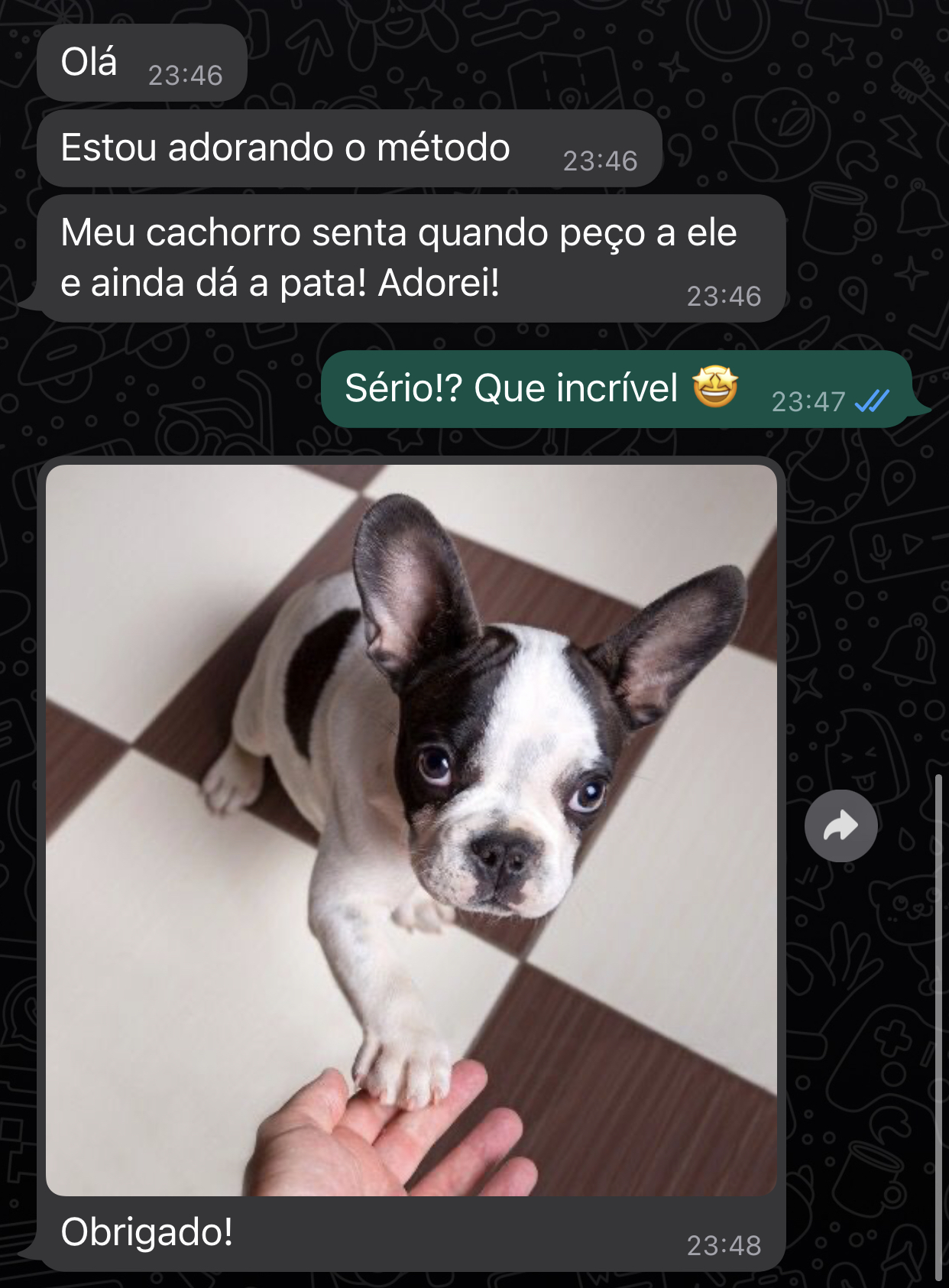 depoimento pet 2