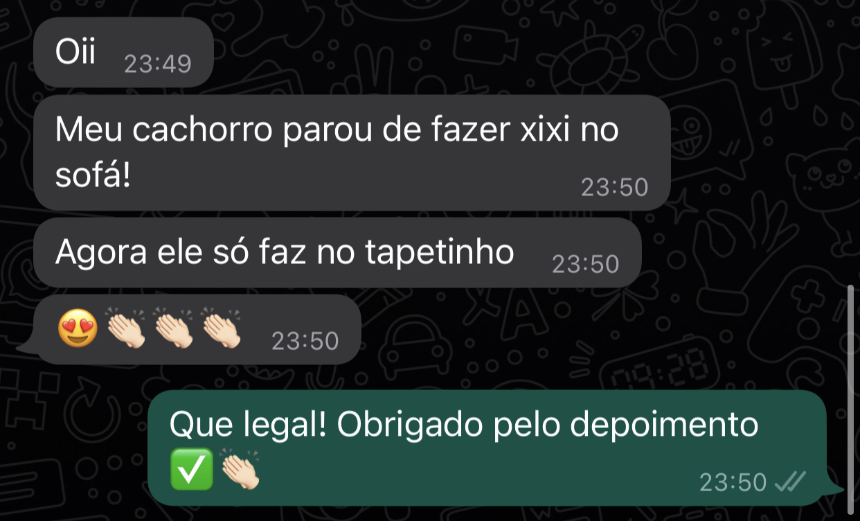 depoimento pet 3