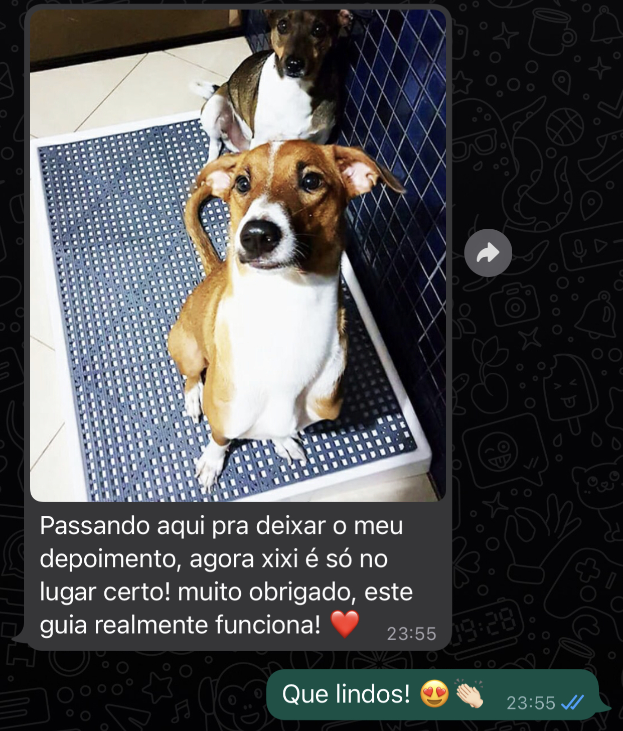 depoimento pet 4
